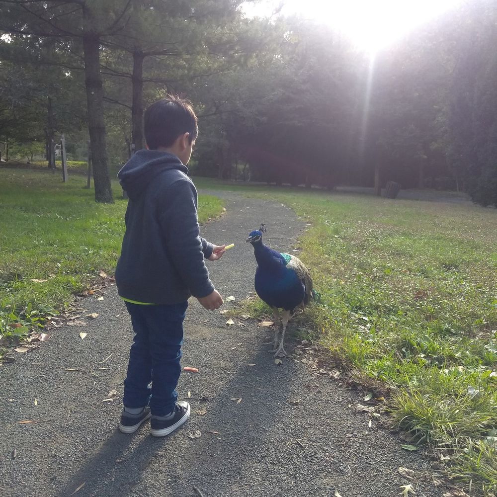 Meet your Posher, Nadeem